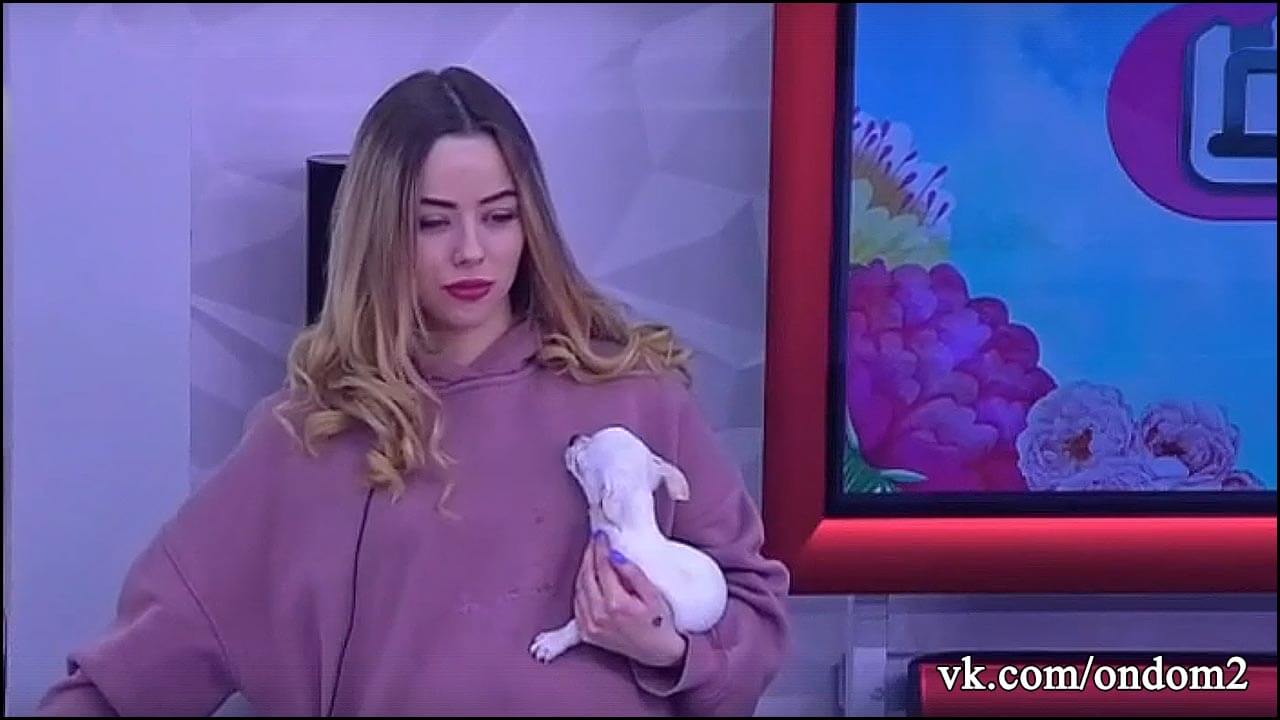 ����: ������� ������