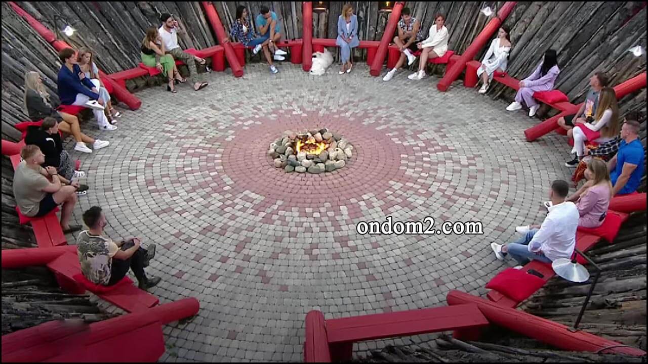 ����: ������������